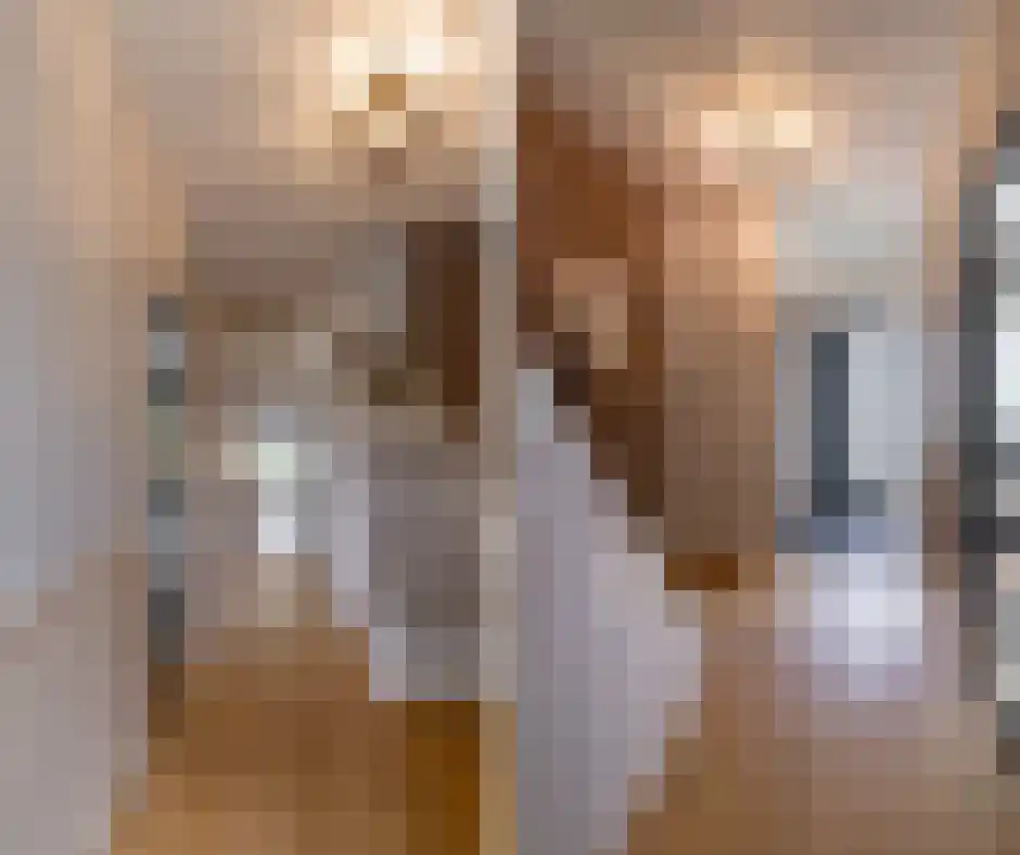 Dross de Limpensstraat 10 Elsloo thumbnail 4