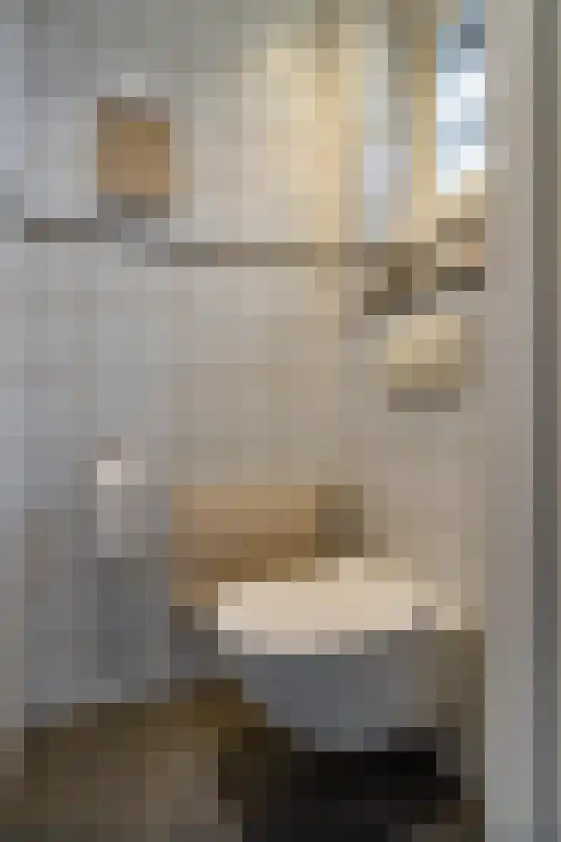 Dross de Limpensstraat 10 Elsloo thumbnail 5