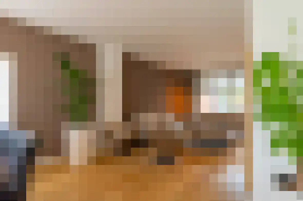 Dross de Limpensstraat 10 Elsloo thumbnail 7