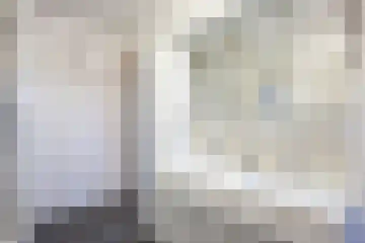 Dross de Sauvetstraat 12 Elsloo thumbnail 34