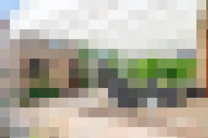 Dross de Sauvetstraat 12 Elsloo thumbnail 36