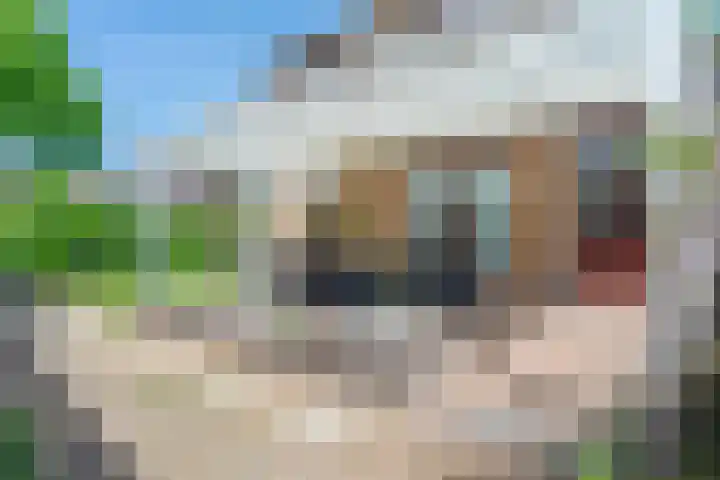 Dross de Sauvetstraat 12 Elsloo thumbnail 38