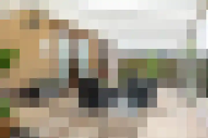 Dross de Sauvetstraat 12 Elsloo thumbnail 40