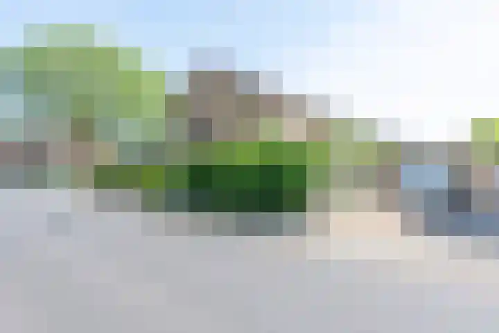 Dross de Sauvetstraat 12 Elsloo thumbnail 7