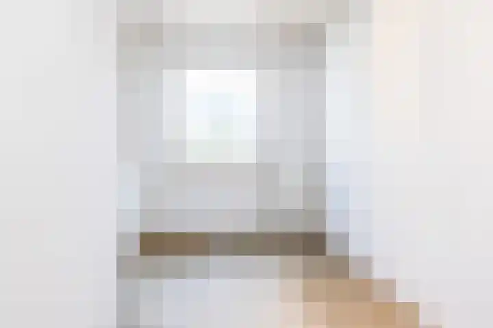 Dross Ecrevissestraat 20 Stein thumbnail 17