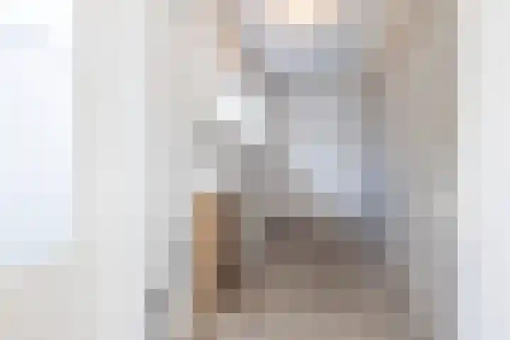 Dross Ecrevissestraat 20 Stein thumbnail 23