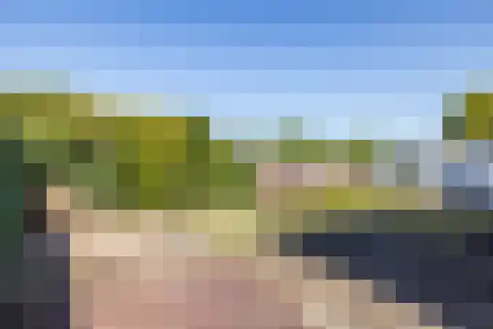 Dross Ecrevissestraat 20 Stein thumbnail 28