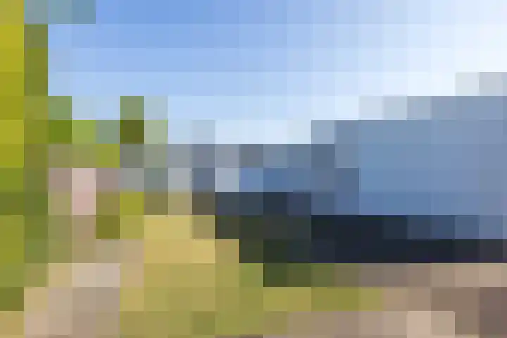 Dross Ecrevissestraat 20 Stein thumbnail 29