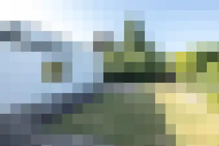 Dross Ecrevissestraat 20 Stein thumbnail 30