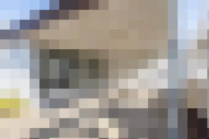 Dross Ecrevissestraat 20 Stein thumbnail 31