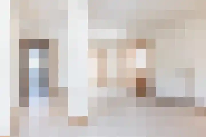 Dross Ecrevissestraat 20 Stein thumbnail 7