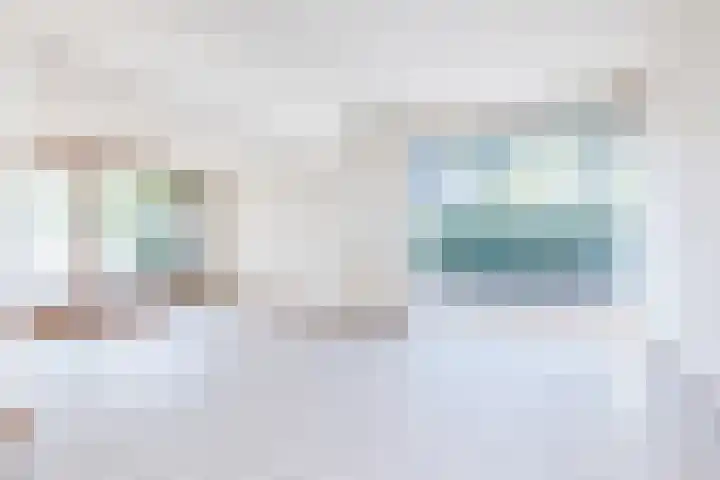 Dross Ecrevissestraat 20 Stein thumbnail 8