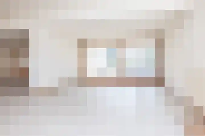 Dross Ecrevissestraat 20 Stein thumbnail 9