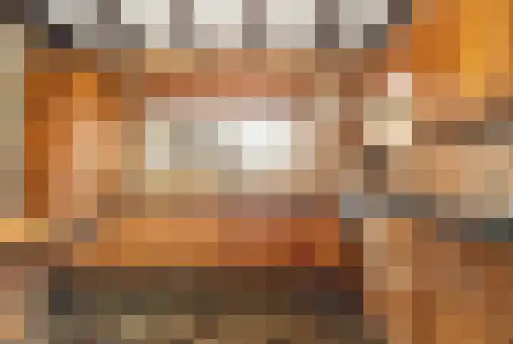 Dross Ecrevissestraat 32 Stein thumbnail 11