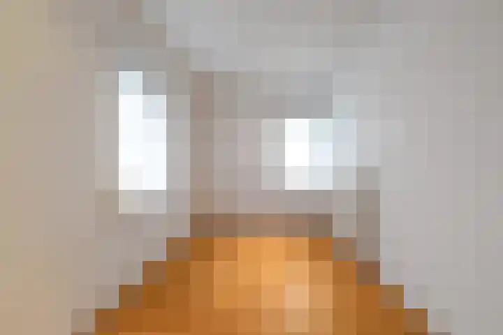 Dross Ecrevissestraat 32 Stein thumbnail 15