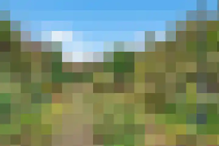 Dross Ecrevissestraat 32 Stein thumbnail 22