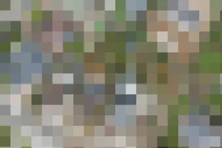 Dross Ecrevissestraat 32 Stein thumbnail 25