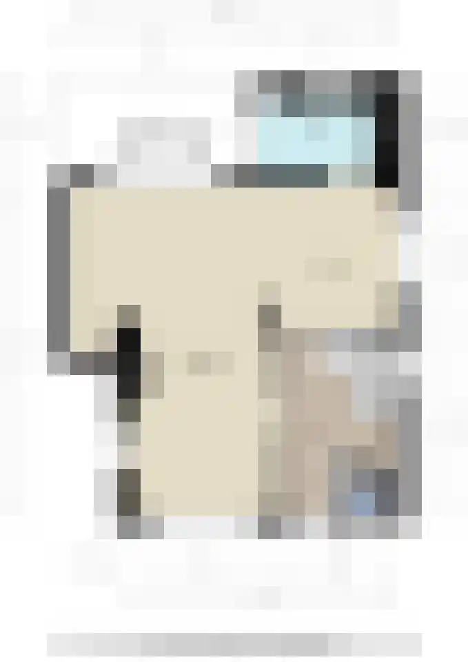 Dross Ecrevissestraat 32 Stein thumbnail 26