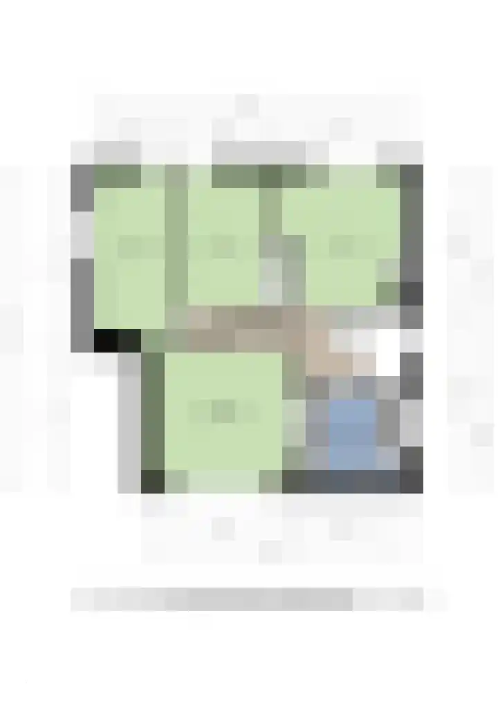 Dross Ecrevissestraat 32 Stein thumbnail 27