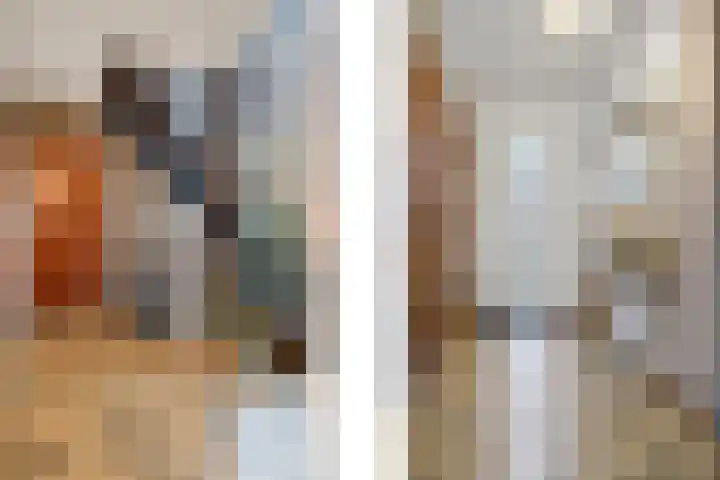 Dross Ecrevissestraat 32 Stein thumbnail 4