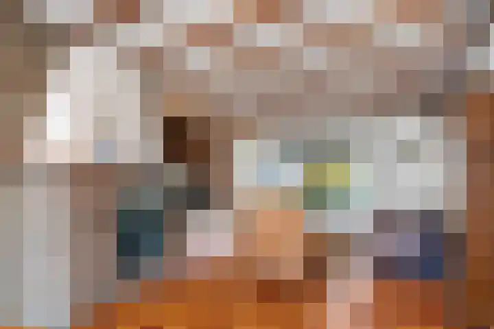 Dross Ecrevissestraat 32 Stein thumbnail 6