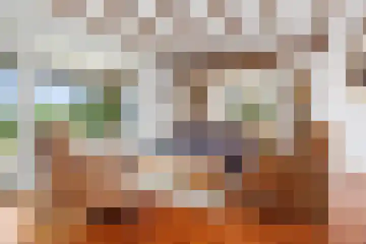 Dross Ecrevissestraat 32 Stein thumbnail 8