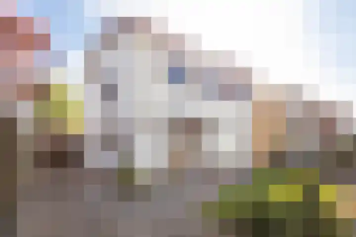 Dross J van Kesselstraat 71 Stein thumbnail 10