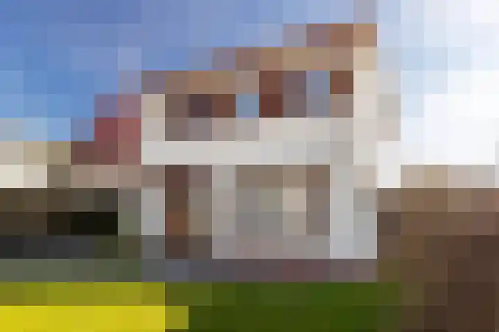 Dross J van Kesselstraat 71 Stein thumbnail 11