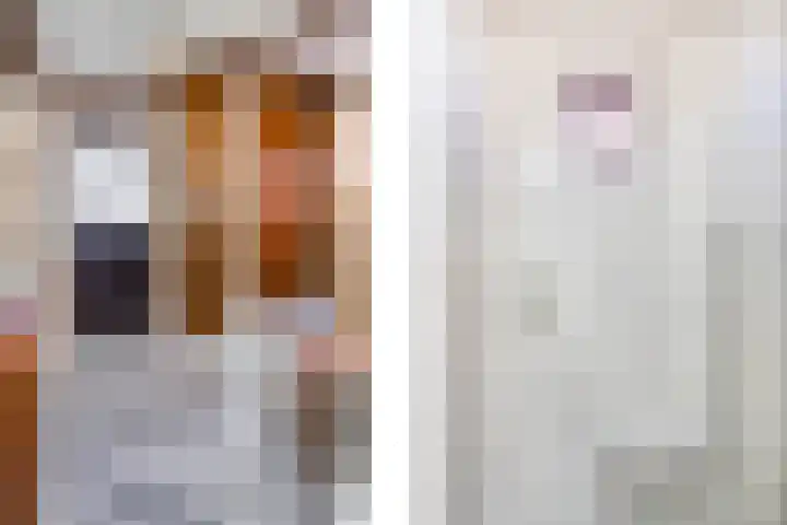 Dross J van Kesselstraat 71 Stein thumbnail 13