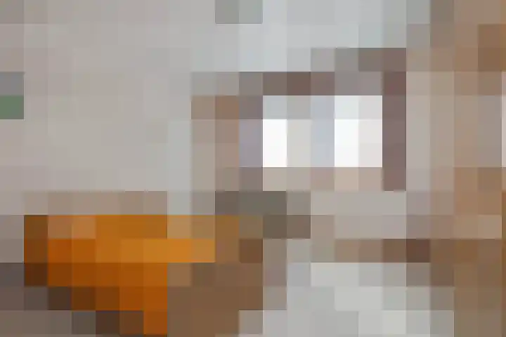 Dross J van Kesselstraat 71 Stein thumbnail 24