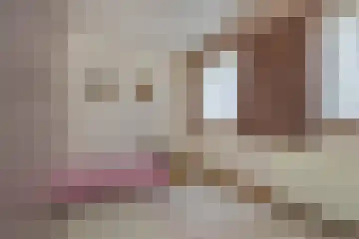 Dross J van Kesselstraat 71 Stein thumbnail 25
