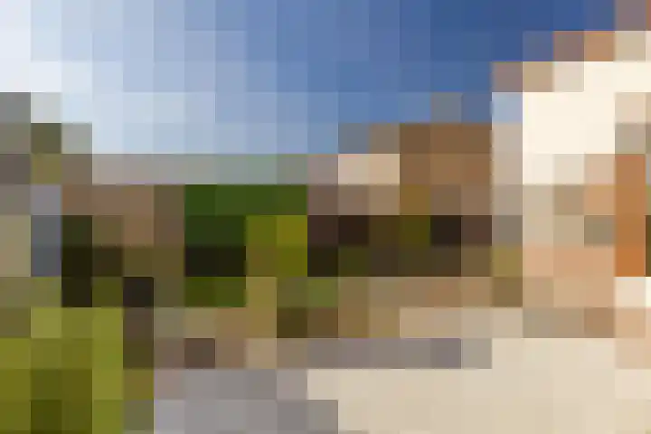 Dross J van Kesselstraat 71 Stein thumbnail 34