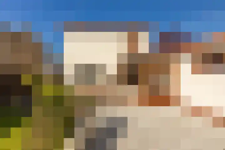 Dross J van Kesselstraat 71 Stein thumbnail 35