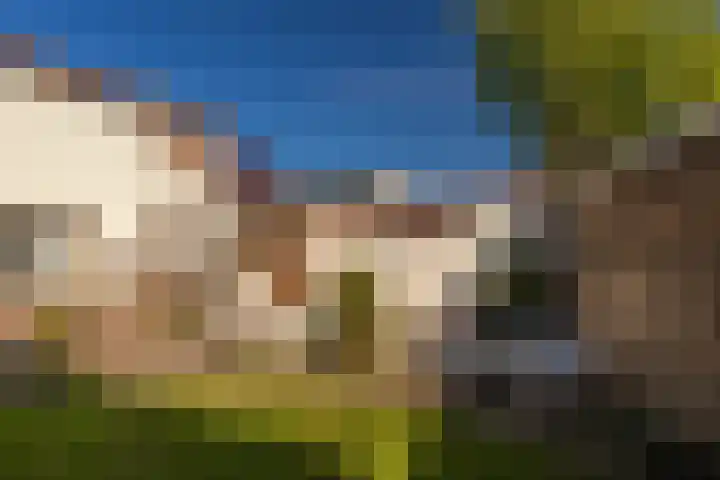 Dross J van Kesselstraat 71 Stein thumbnail 36