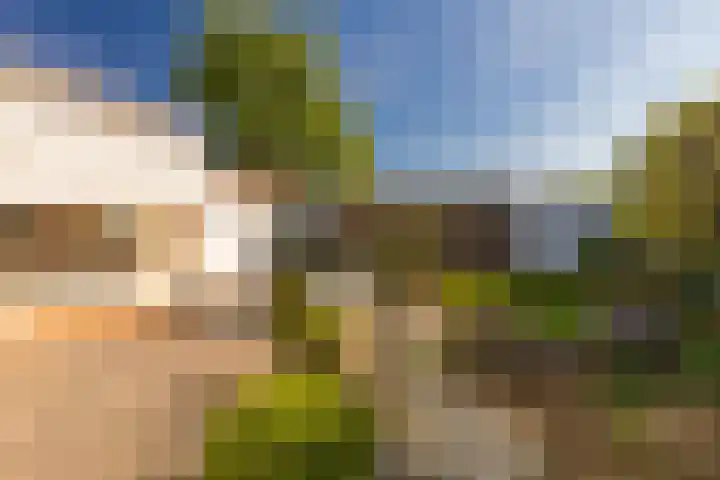 Dross J van Kesselstraat 71 Stein thumbnail 37