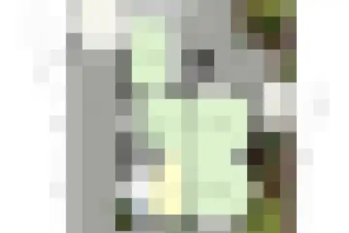 Dross J van Kesselstraat 71 Stein thumbnail 41