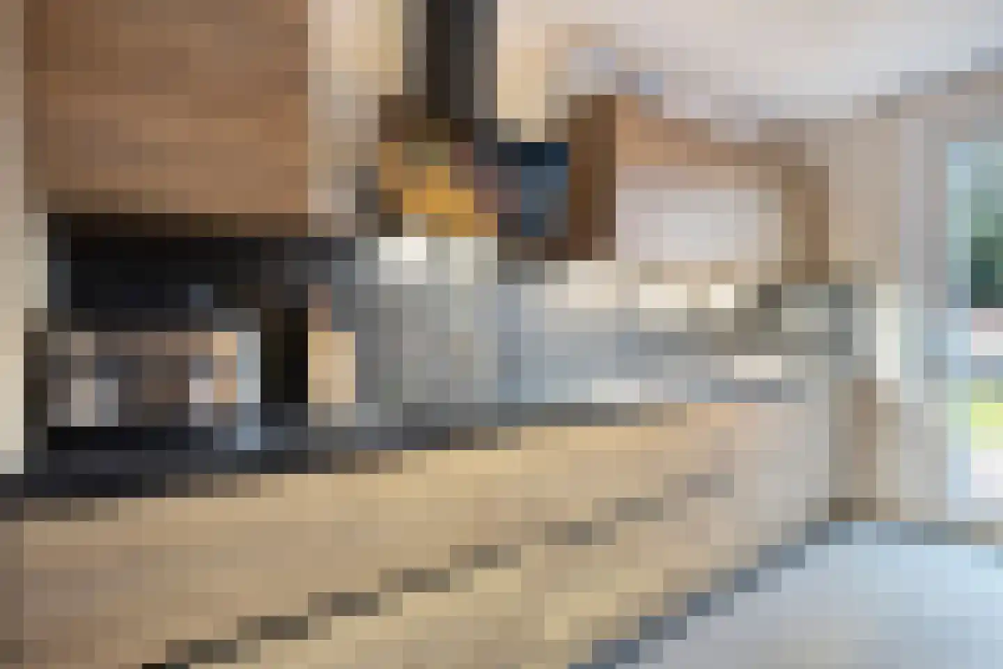 Dross Maesstraat 22 Stein thumbnail 17