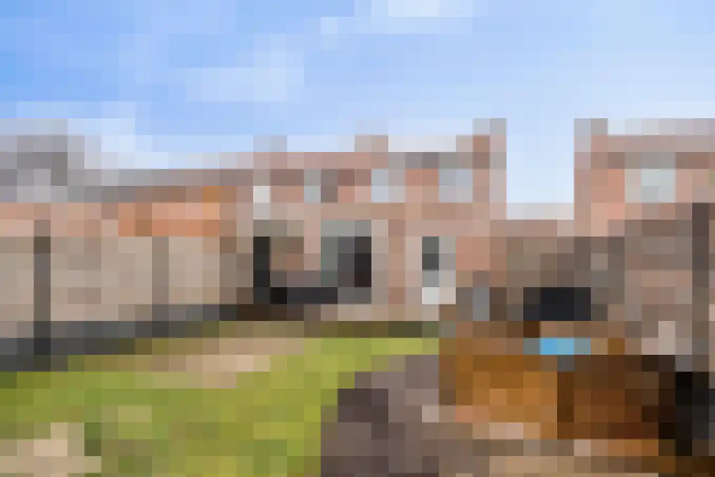 Dross Maesstraat 22 Stein thumbnail 19