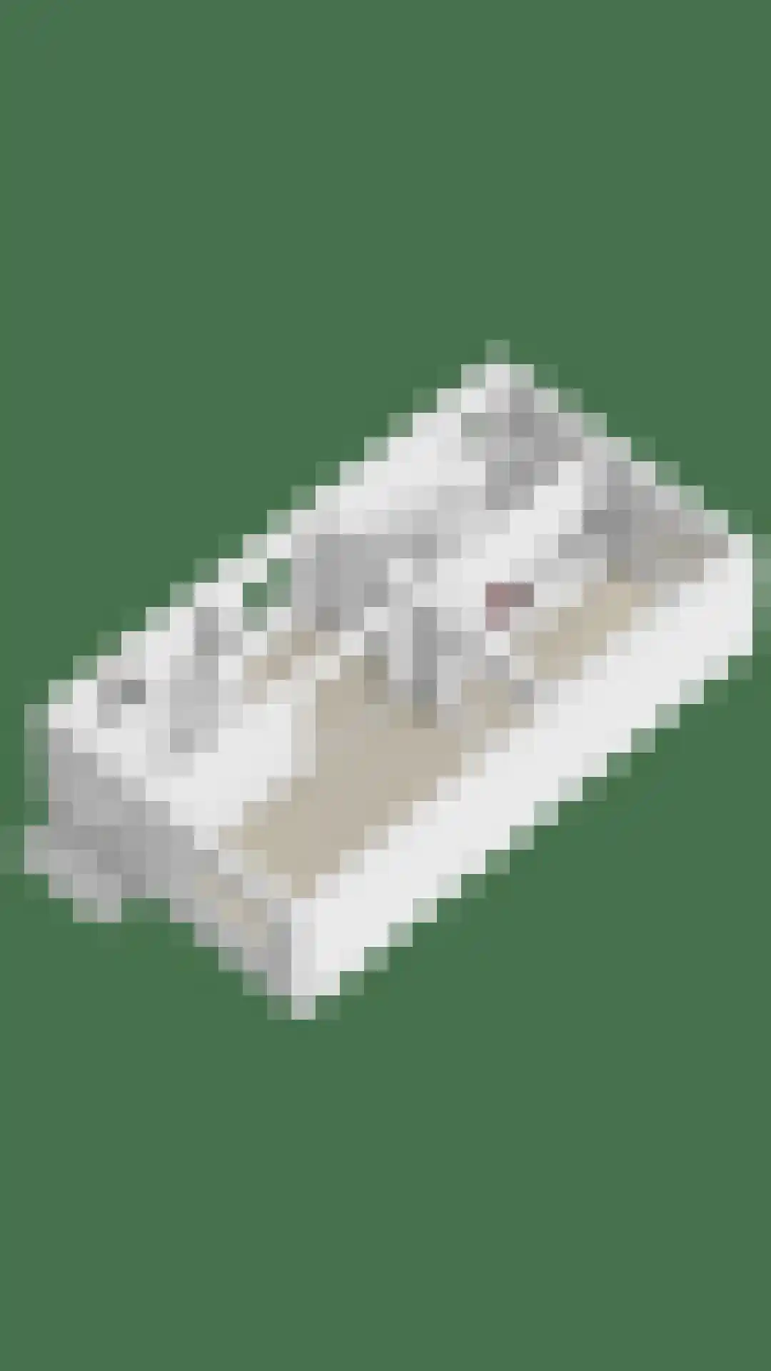 Dross Maesstraat 22 Stein thumbnail 34