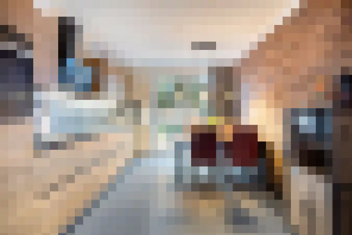 Dross Maesstraat 22 Stein thumbnail 4