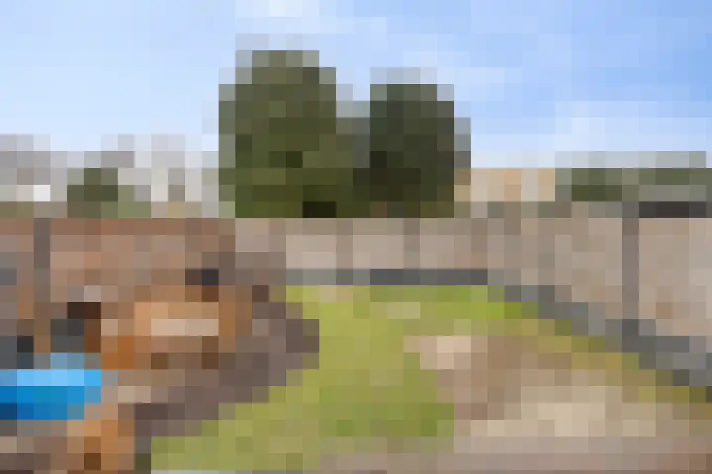 Dross Maesstraat 22 Stein thumbnail 6