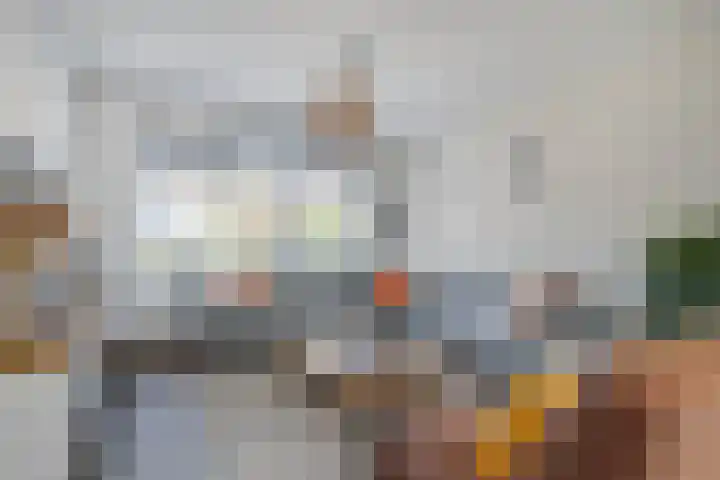 Dross Roststraat 29 Stein thumbnail 11