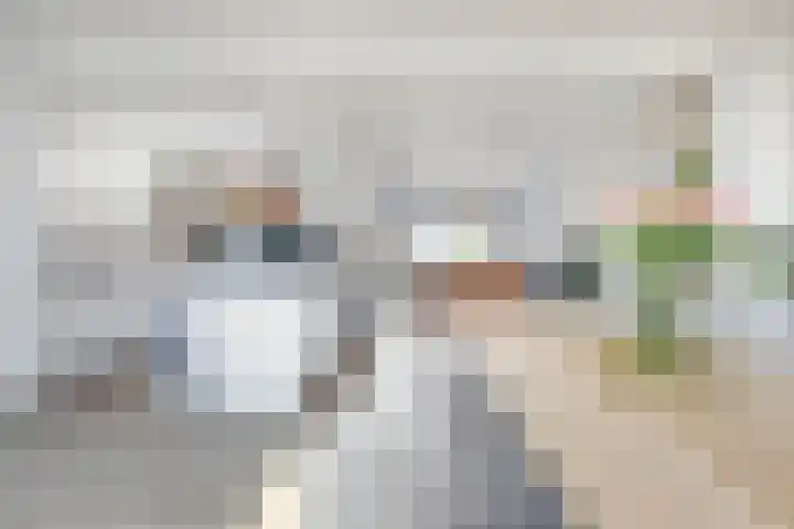 Dross Roststraat 29 Stein thumbnail 14