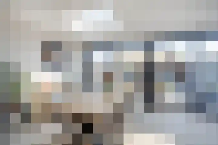 Dross Roststraat 29 Stein thumbnail 17