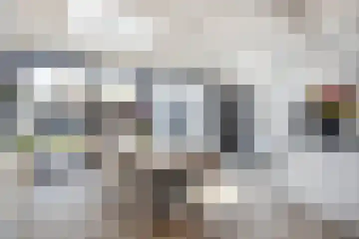 Dross Roststraat 29 Stein thumbnail 18