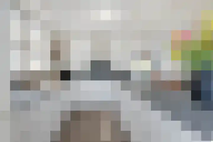 Dross Roststraat 29 Stein thumbnail 19