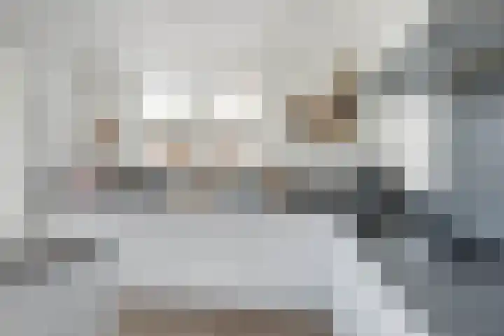 Dross Roststraat 29 Stein thumbnail 21