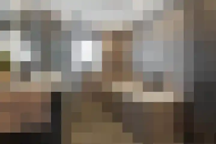 Dross Roststraat 29 Stein thumbnail 30