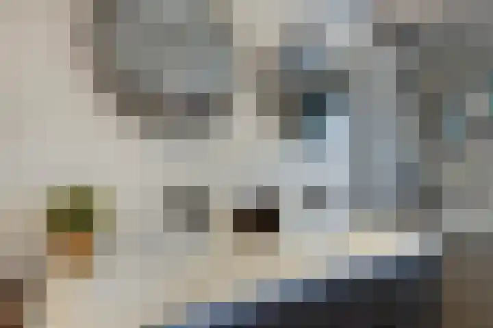 Dross Roststraat 29 Stein thumbnail 31