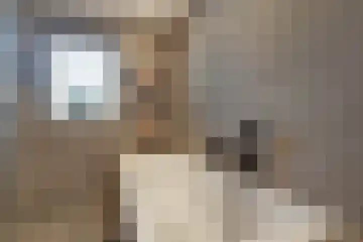 Dross Roststraat 29 Stein thumbnail 32